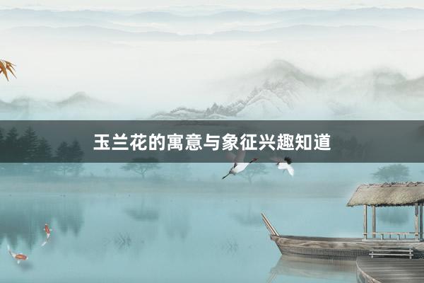 玉兰花的寓意与象征兴趣知道