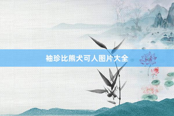 袖珍比熊犬可人图片大全